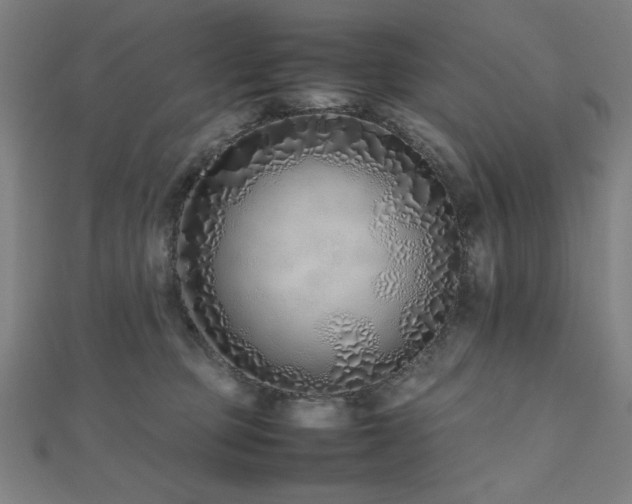 X0000112490373200908171252