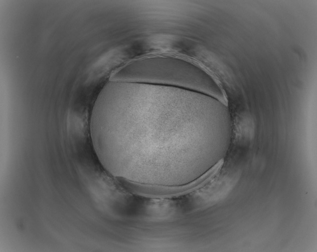 X0000112490376200908171252