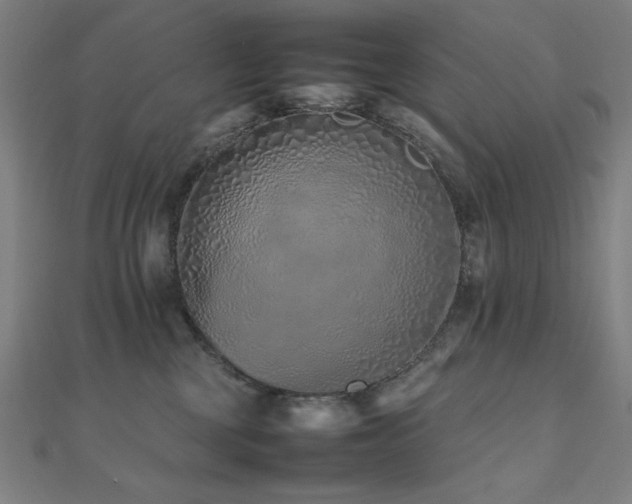 X0000112490377200908171252