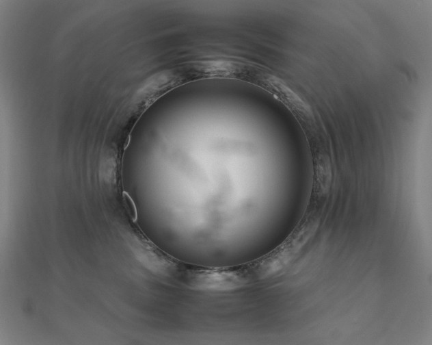 X0000112490379200908171252