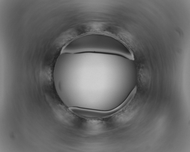 X0000112490380200908171252