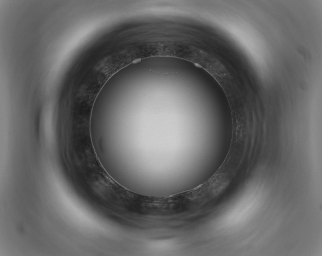 X0000112490383200908171252