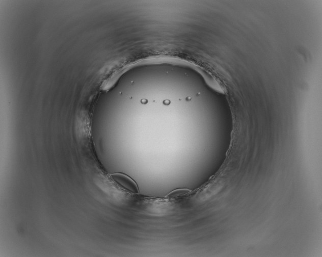 X0000112490384200908171252