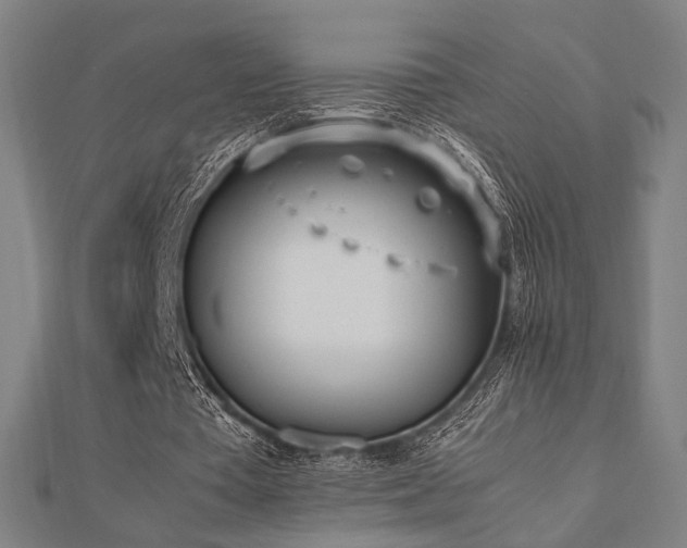 X0000112490385200908171252