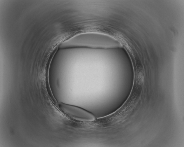 X0000112490389200908171251