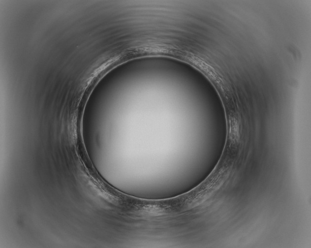 X0000112490390200908171251