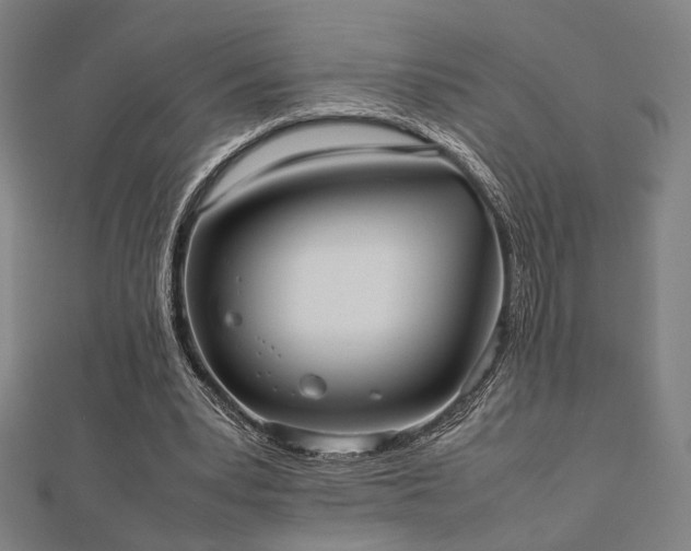 X0000112490391200908171251