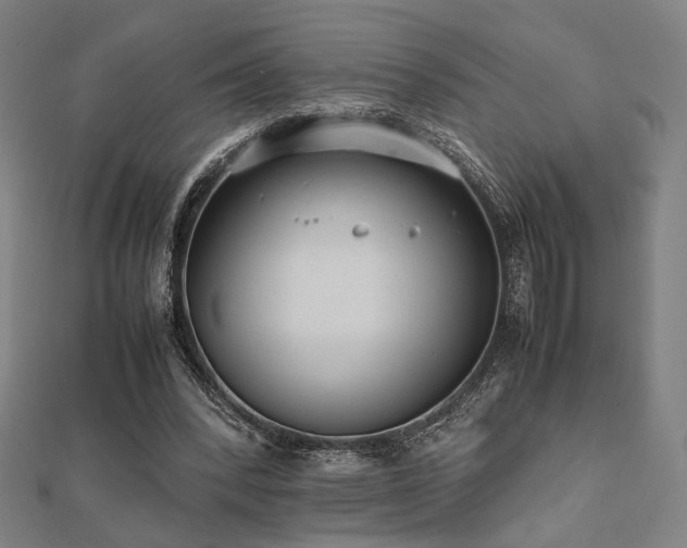X0000112490392200908171251