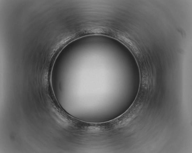 X0000112490394200908171251