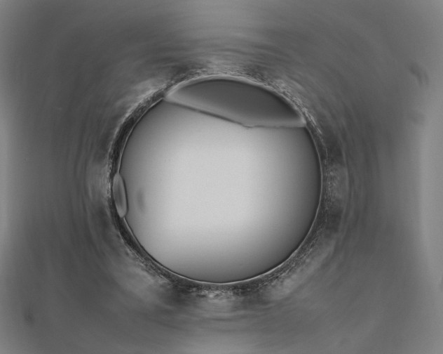 X0000112490395200908171251