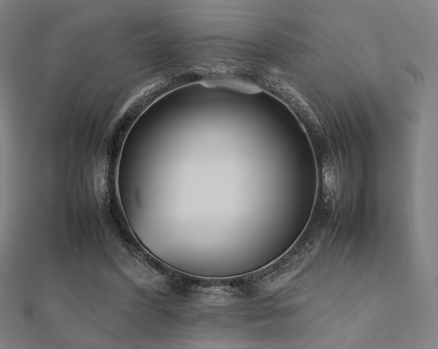 X0000112490396200908171251