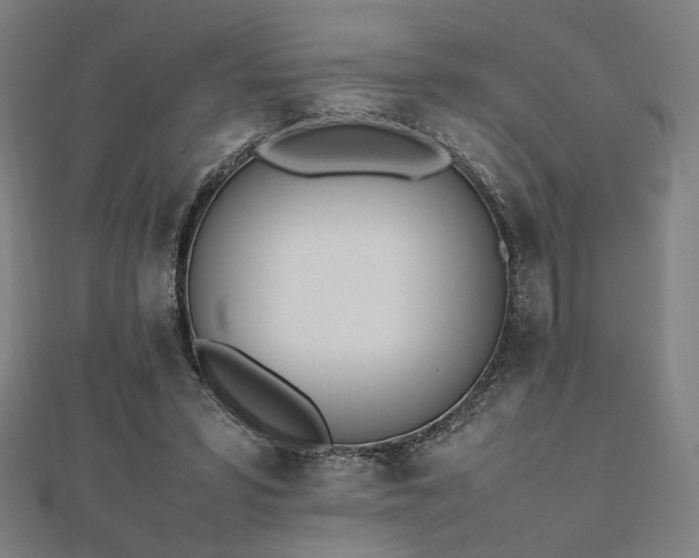 X0000112490399200908171251