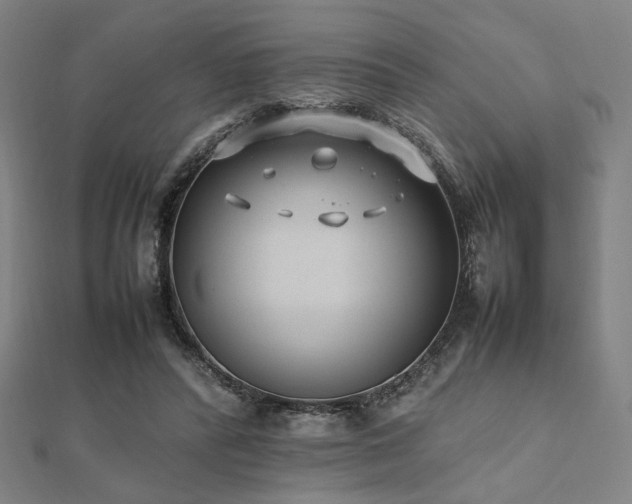 X0000112490400200908171251