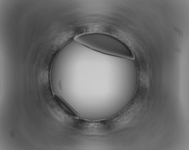 X0000112490401200908171251