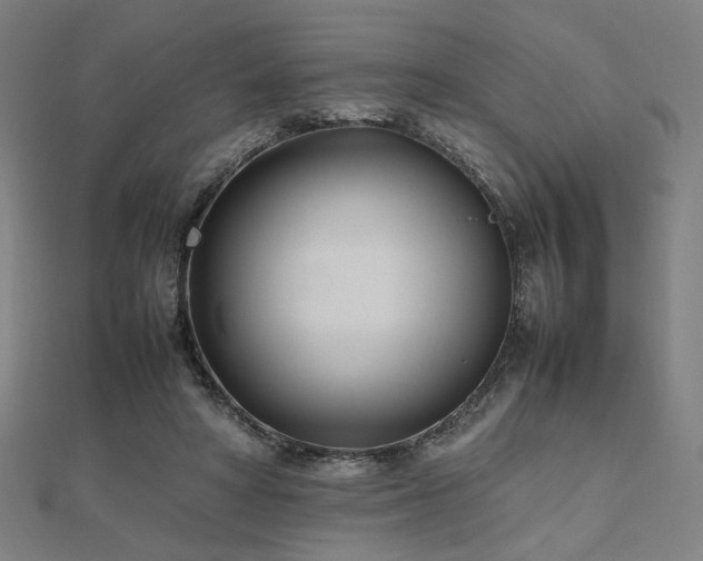 X0000112490402200908171251