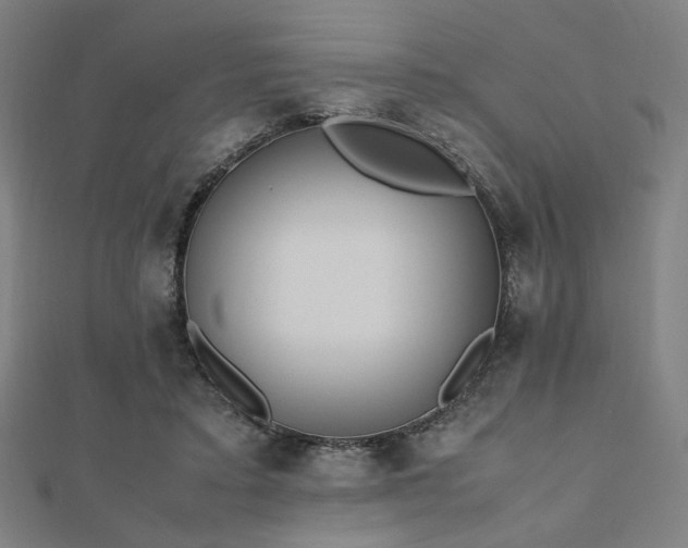 X0000112490403200908171251