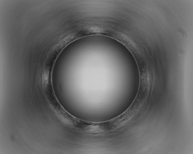X0000112490406200908171251