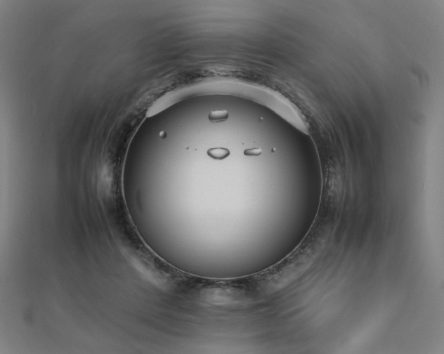 X0000112490408200908171251