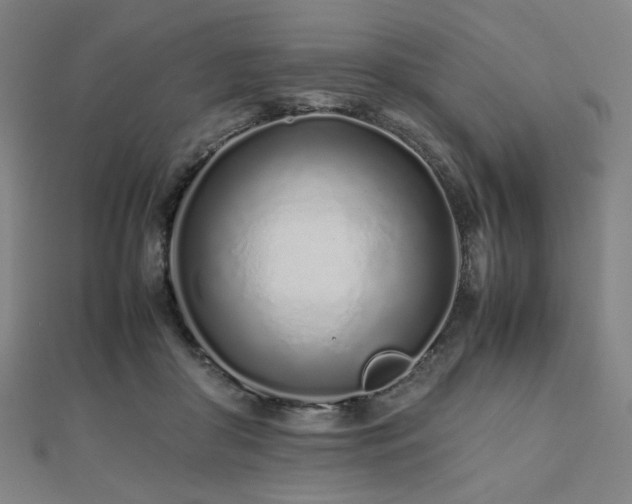 X0000112490410200908171251