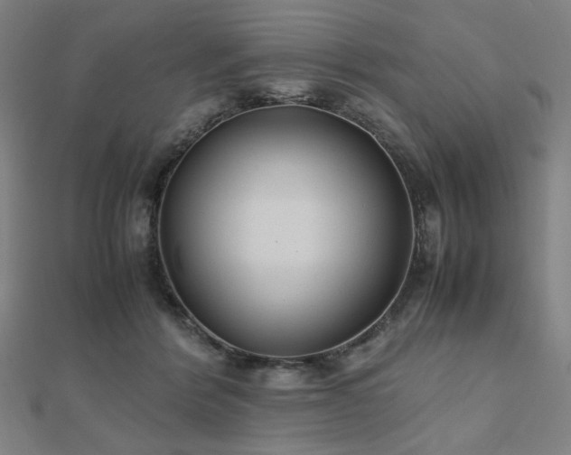 X0000112490412200908171251