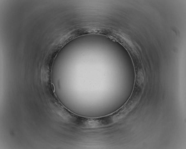 X0000112490413200908171251