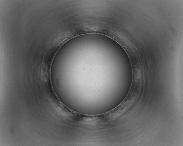X0000112490414200908171251