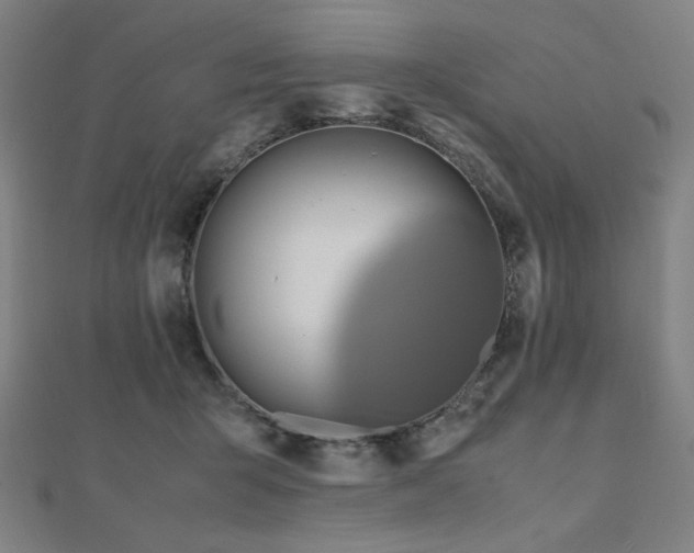 X0000112490415200908171251