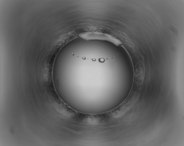 X0000112490416200908171251