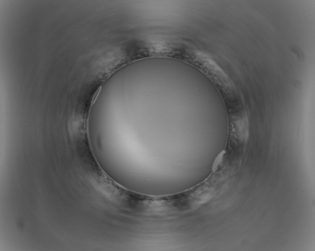 X0000112490419200908171251