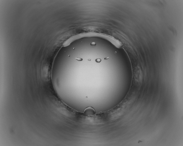 X0000112490420200908171251