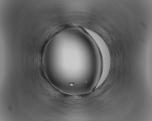 X0000112490421200908171251