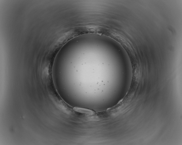 X0000112490424200908171251