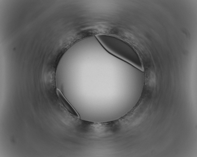 X0000112490425200908171251