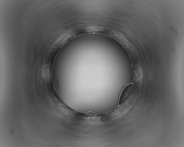 X0000112490426200908171251