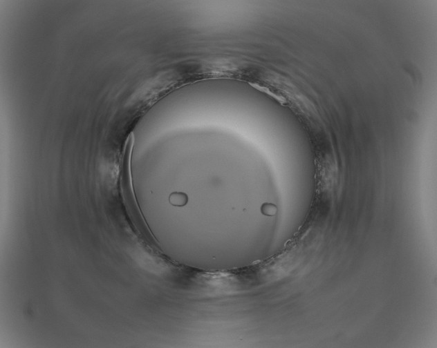 X0000112490427200908171251