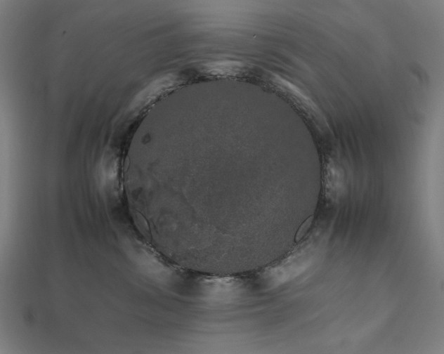 X0000112490428200908171251