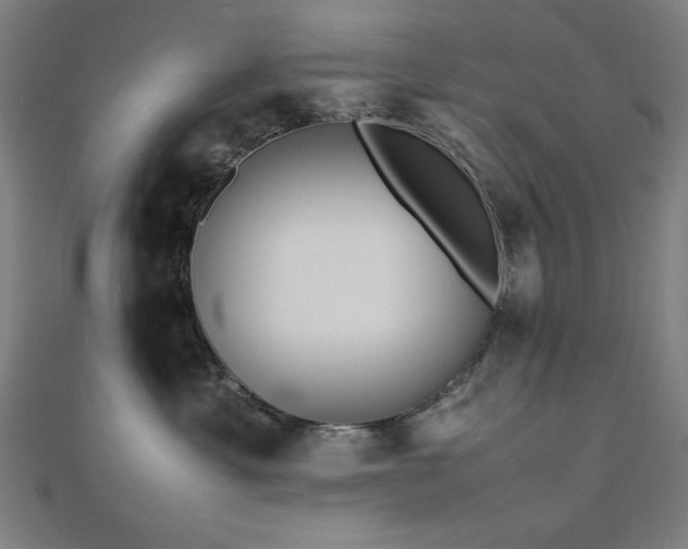 X0000112490429200908171251