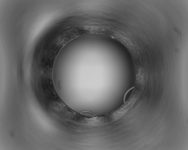 X0000112490430200908171251