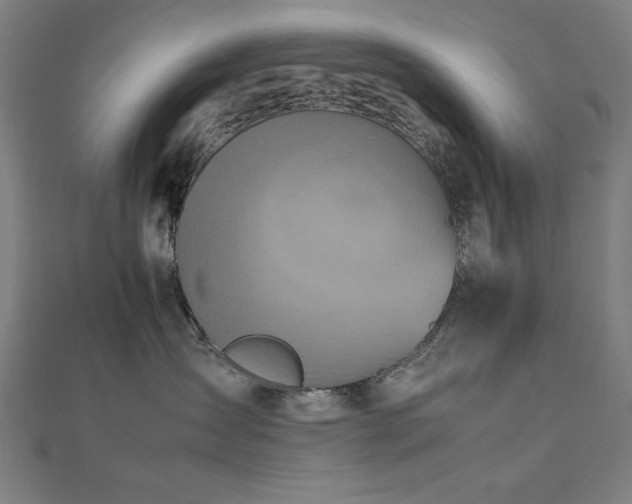 X0000112490431200908171251