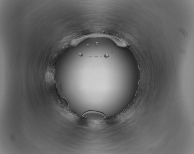 X0000112490432200908171251
