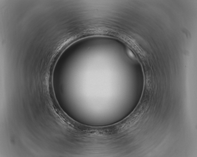 X0000112490434200908171250