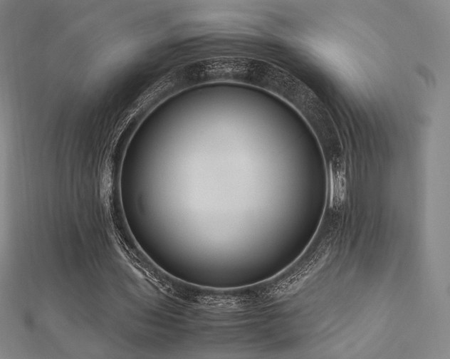 X0000112490435200908171250