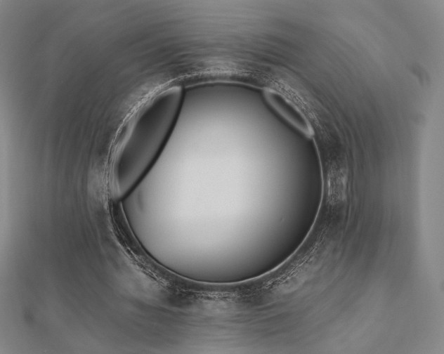 X0000112490436200908171250