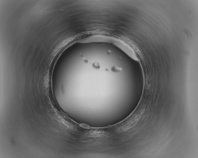 X0000112490437200908171250