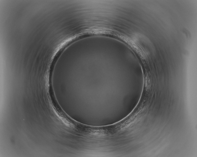X0000112490438200908171250