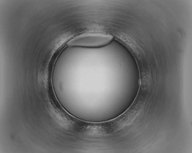 X0000112490440200908171250