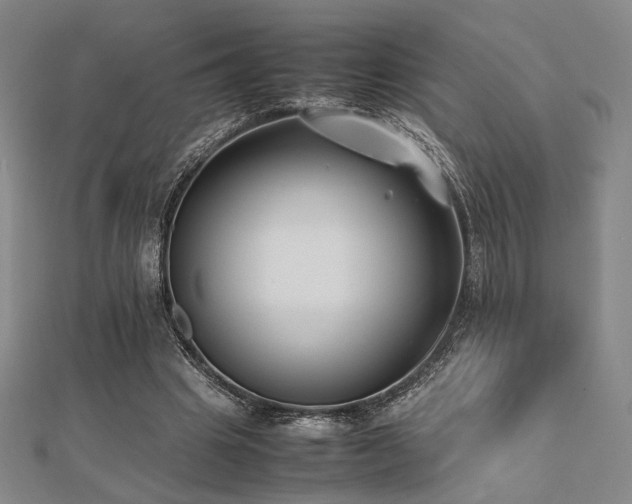 X0000112490441200908171250