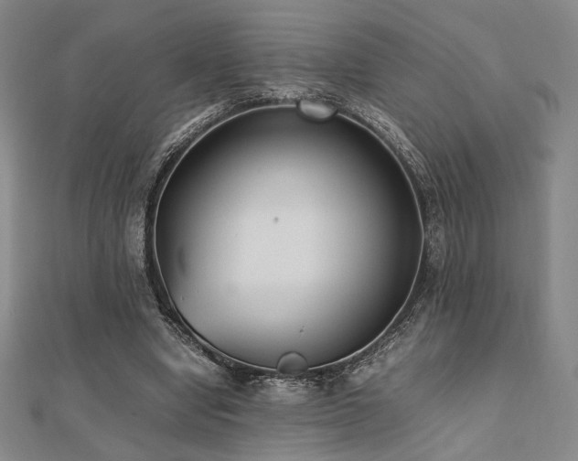 X0000112490442200908171250