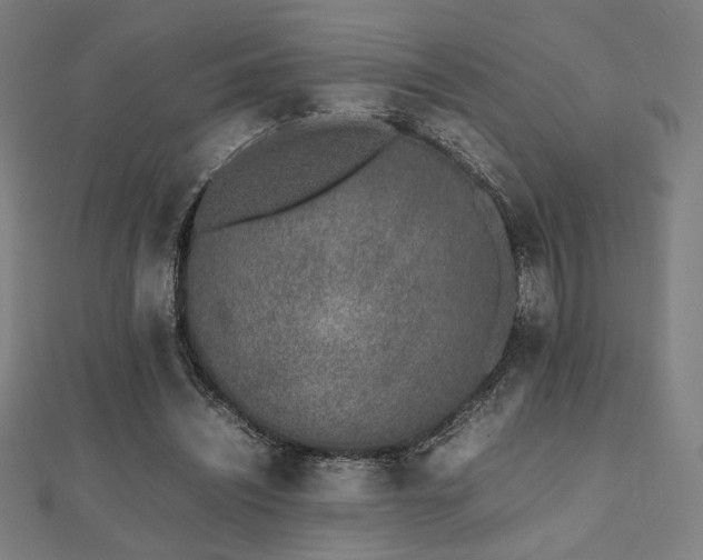 X0000112490444200908171250