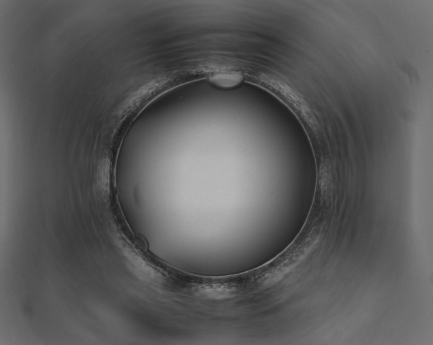 X0000112490445200908171250